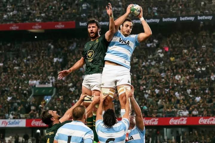 Sudáfrica le ganó a Los Pumas y se quedó con el título en el Rugby Championship