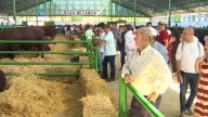 Fiesta, gastronomía y tradición: Zafra vive su día grande More