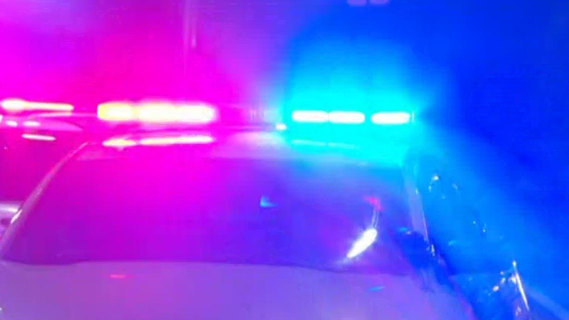 Dog attack at Lake Worth Texas park under investigation by police