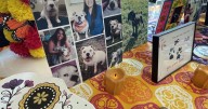 VCA honors pets who have passed with ofrenda