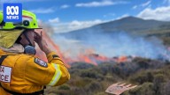 Review of west coast bushfires finds flaws in Tasmania's firefighting responses