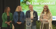 Student-led initiative helping plant trees in response to Los Angeles wildfires kicks off in Pasadena