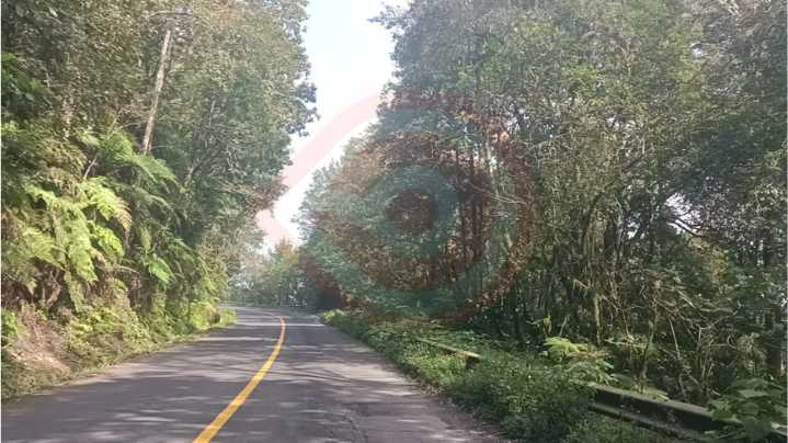 Reencarpetamiento parcial en la México