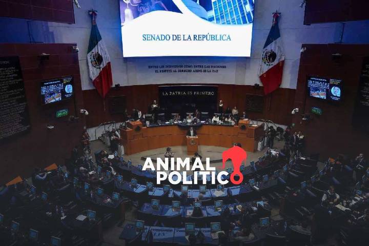 Senado alista votación de impuestos a refrescos y videojuegos violentos
