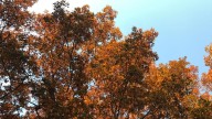 Find out whether Gaston County's cooler temperatures are returning soon