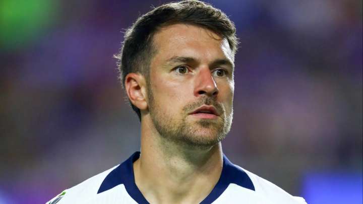 'Please help us' - Aaron Ramsey issues emotional appeal as his dog goes missing in Mexico