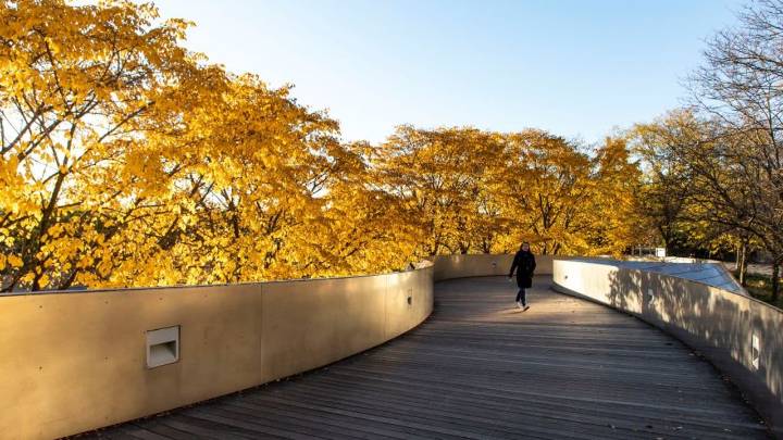 Chicago weather: Uneventful week ahead with sunshine and steady temps