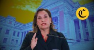 Dina Boluarte y los argumentos de Tomás Gálvez para que no deje el Perú: Carece de “arraigo laboral, funcional y político” tlc nota