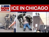 WATCH multiple dramatic ICE arrests in Chicago