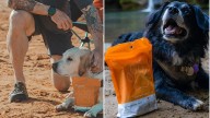 Get an adventure-ready pet first aid kit for under $20 today