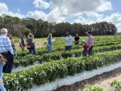 Wilton Simpson tours North Florida farm to promote local supplier of Walmart