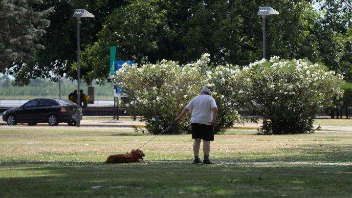 El tiempo en Rosario: mitad de semana con temperatura en ascenso y vientos en el horizonte