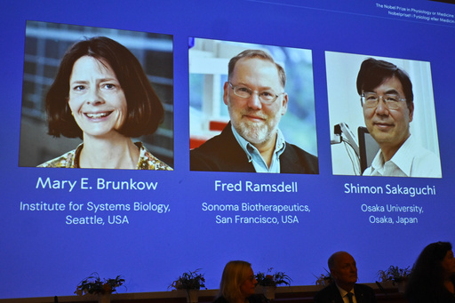 The Nobel Prize in medicine goes to 3 scientists for work on the human immune system