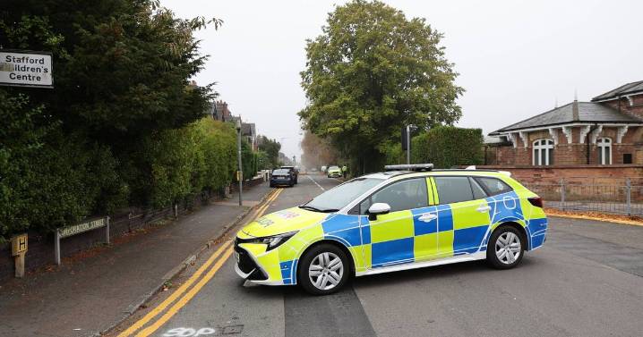 'Distraught' dad watched surviving child carried from house where kids stabbed