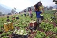 Sector agroalimentario representa el 47 % del PIB de manufactura privada