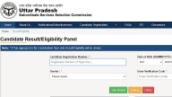 UPSSSC Mains Result 2025 Declared: Check Junior Assistant, Clerk, And Assistant Level-III Results At upsssc.gov.in; Direct Link Here
