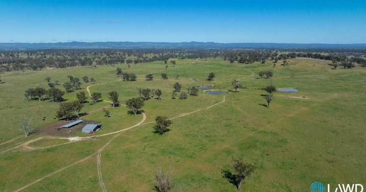 Productive grazing land on the market in New England, NSW