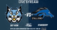 LIVESTREAM: Sky View vs Stansbury football