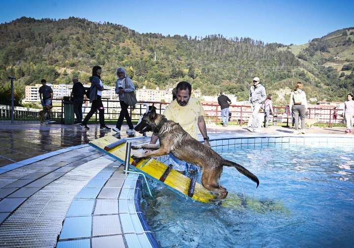 ¡Perro al agua! Las piscinas de Eibar se convierten en un aquapark canino