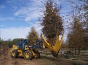 ‘They keep us in business,’ Alabama farmers praise guest