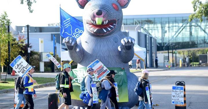 Classes cancelled at Mohawk College as support staff picket
