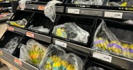 I compared the fruit and veg aisles in Sainsbury's, Aldi, Lidl and Waitrose