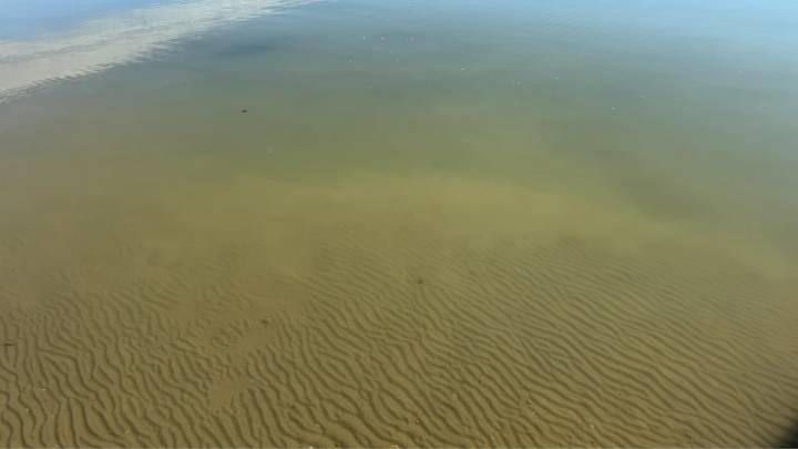 Disminuye la clorofila en el Mar Menor pero se mantienen las condiciones anóxicas