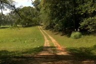 Man, 81, Attacked by 7 Dogs Now Faces Possible Limb Amputation