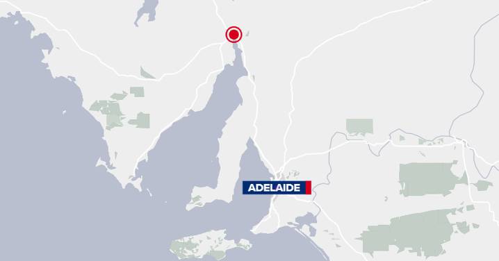 Woman charged, man fighting for life in alleged stabbing in South Australia
