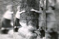 A LOOK BACK: Tree hugging
