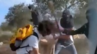 Israeli settlers beat Palestinian farmers on video as attacks mount during West Bank olive harvest
