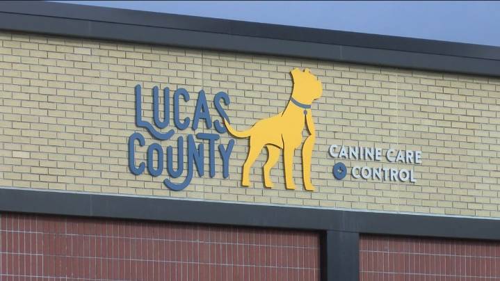 Paws hit the ground running at Lucas County's new high