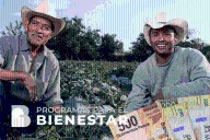 ¿Sabías que hay un Programa del Bienestar que da hasta 24 mil pesos al año sin tantos trámites? Aquí los detalles