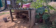 Rescatan a “Nala”, perrita en situación de abandono en San Pedro Ixtlahuaca