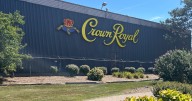 Diageo plant could be taken over by another beverage producer