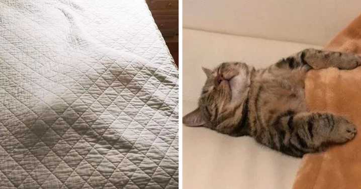People In This Online Group Shared 50 Of The Coziest Tucked