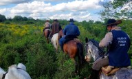 La UEAR intensificó operativos y patrullajes en zonas rurales para desalentar el robo de hacienda