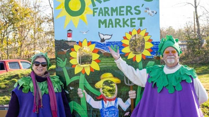 Don't miss these 5 events on Cape Cod this November