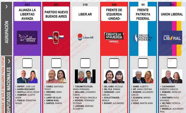 La Cámara Nacional Electoral rechazó la reimpresión de boletas en Provincia y se mantiene la foto de Espert