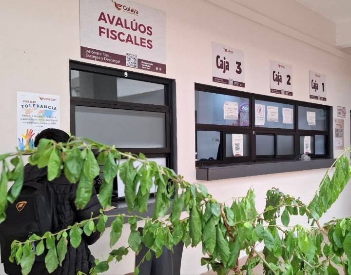Aumentarían predial y agua hasta 4% en Celaya; analizan ajustes a trámites municipales