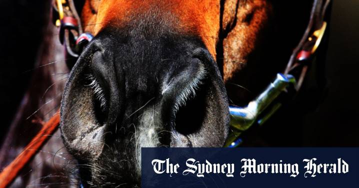 Tips and race-by-race guide for Coonabarabran on Sunday