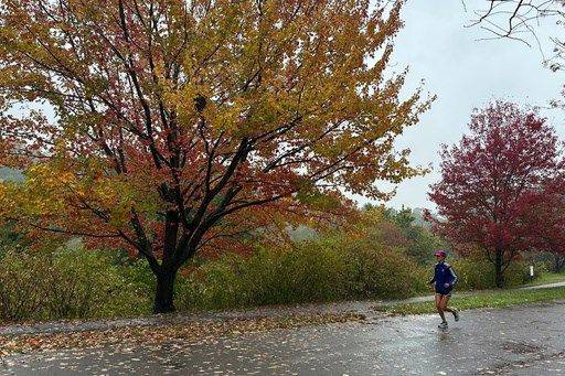 Drought has muted this year's leaf-peeping season, but pockets of brilliant colors remain