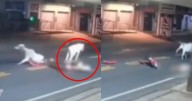 Famosa promesa del futbol mure tras impactarse con una vaca
