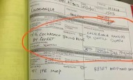 Air India Cabin Crew “Execute” Cockroach Mid-Air; Leave Netizens In Splits
