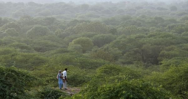 India moves up to ninth place globally in total forest area: UN agency report