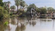 Arizona zoo closed for 2 days after storm sweeps through, damages area