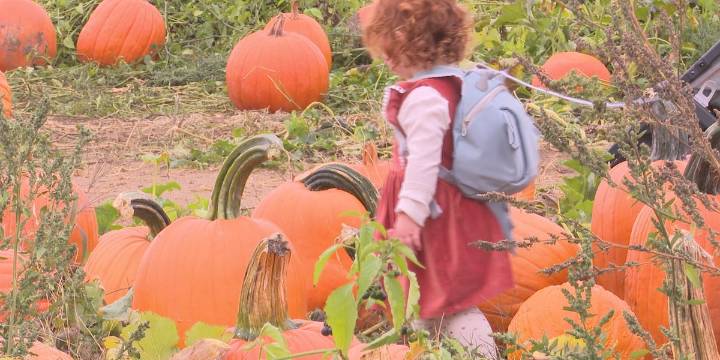 Seasonal change brings more business to cider mills