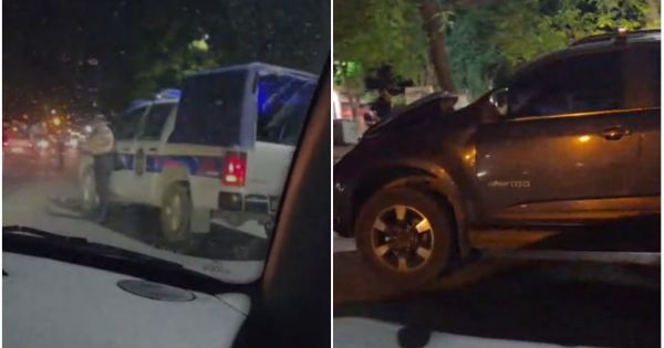 Animales sueltos en la ruta: un fuerte accidente en Vaqueros reavivó el debate