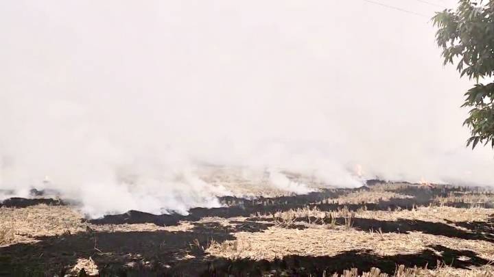 Madhya Pradesh: Special Force To Monitor Sheopur Stubble Burning Using Satellite Images