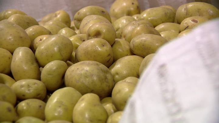 Government shutdown concerns for WA food nonprofits